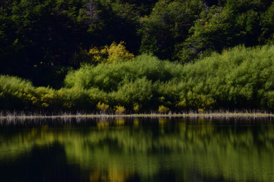 Aysén