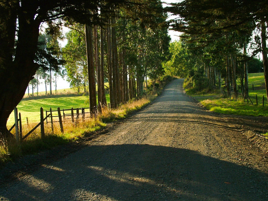 Llanquihue