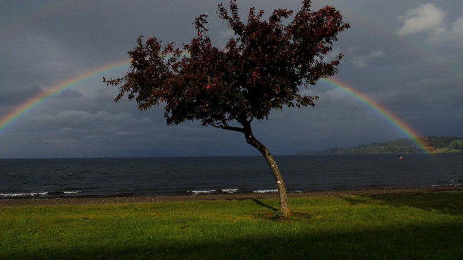 Llanquihue